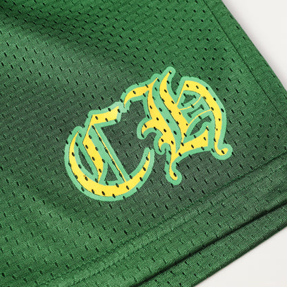 Chrome Hearts x Matty Boy PPO Form Team Mesh Warm Up Jersey Shorts 9996-2